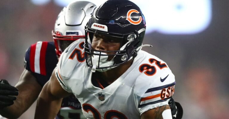 Sunday Shockwave: Bears Stun Bengals, Vikings Break Lions’ Pride, Seahawks Soar!